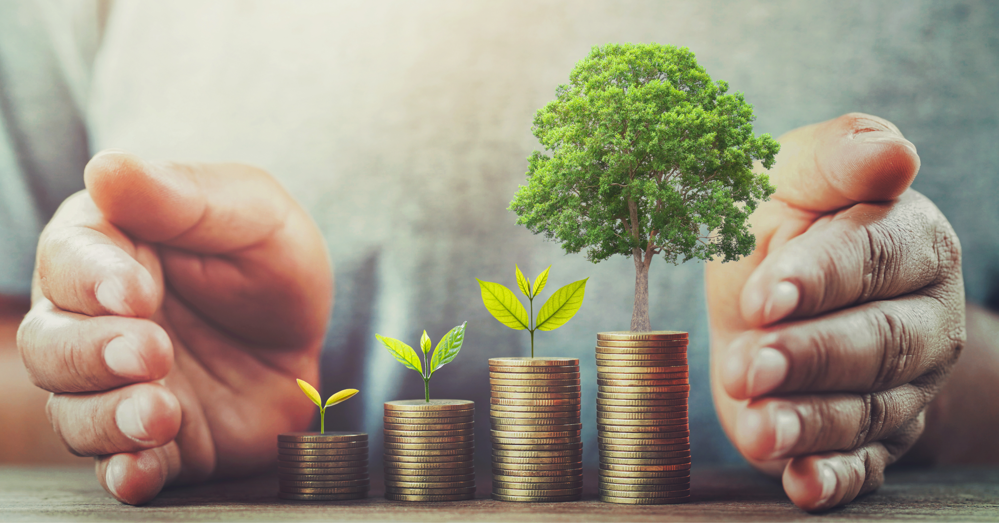 Mutual Fund Investment